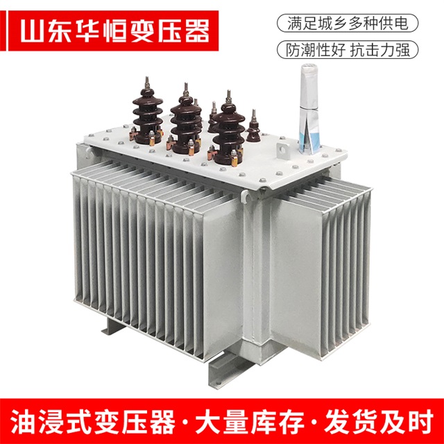 S13-10000/35郸城郸城郸城油浸式变压器厂家